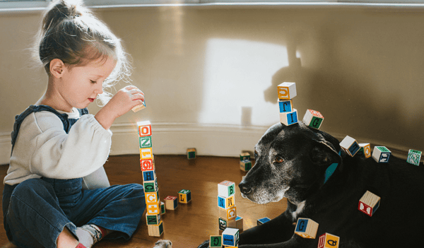 girl and dog with toy blocks